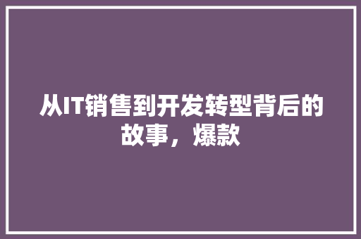 从IT销售到开发转型背后的故事，爆款 必应SEO