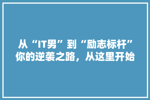 从“IT男”到“励志标杆”你的逆袭之路，从这里开始！ 百度SEO