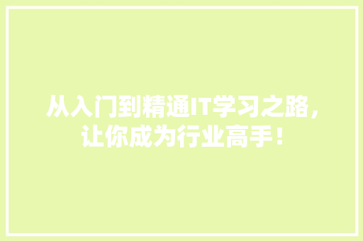 从入门到精通IT学习之路，让你成为行业高手！ 百度SEO