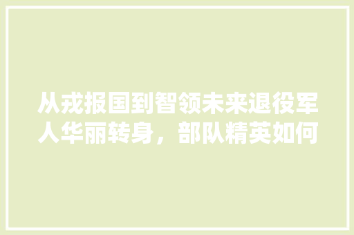 从戎报国到智领未来退役军人华丽转身，部队精英如何迈向IT巅峰