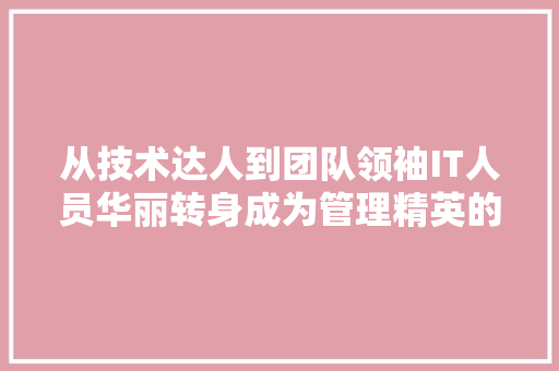 从技术达人到团队领袖IT人员华丽转身成为管理精英的蜕变之路！ GoogleSEO