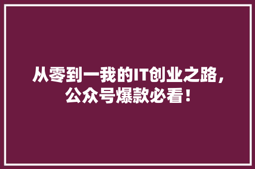 从零到一我的IT创业之路，公众号爆款必看！ 神马SEO
