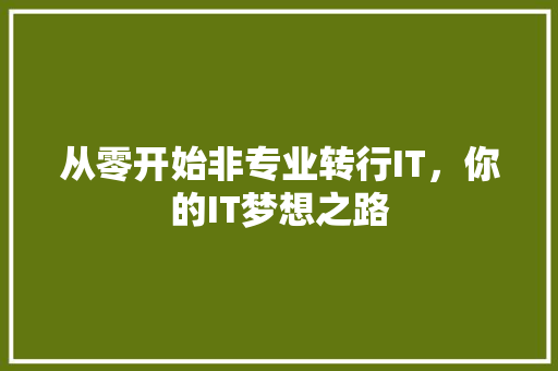 从零开始非专业转行IT，你的IT梦想之路 GoogleSEO