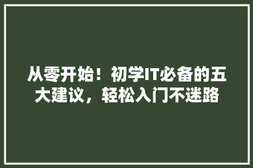 从零开始！初学IT必备的五大建议，轻松入门不迷路 百度SEO