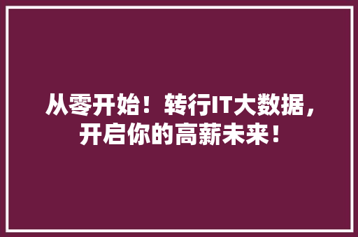从零开始！转行IT大数据，开启你的高薪未来！ 必应SEO