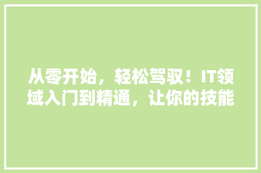 从零开始，轻松驾驭！IT领域入门到精通，让你的技能飞升 GoogleSEO