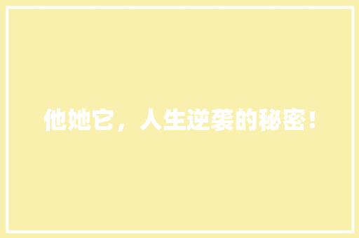 他她它，人生逆袭的秘密！ 神马SEO