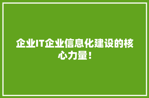 企业IT企业信息化建设的核心力量！