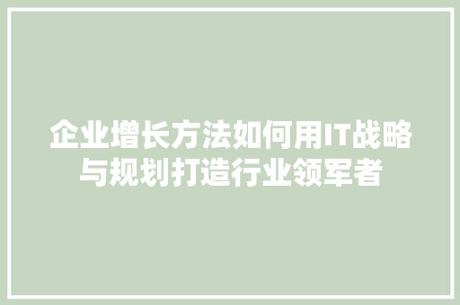 企业增长方法如何用IT战略与规划打造行业领军者