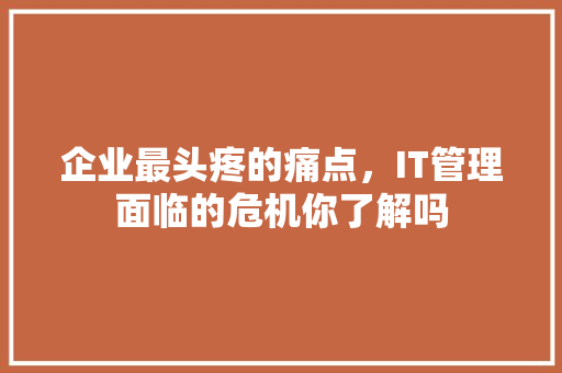 企业最头疼的痛点，IT管理面临的危机你了解吗