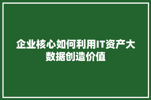 企业核心如何利用IT资产大数据创造价值 神马SEO