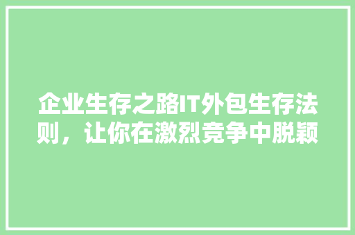 企业生存之路IT外包生存法则，让你在激烈竞争中脱颖而出！ 必应SEO