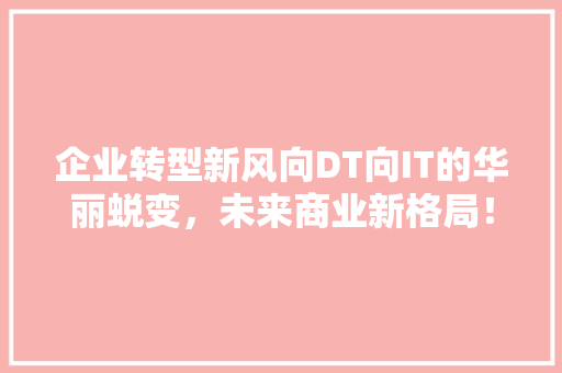 企业转型新风向DT向IT的华丽蜕变，未来商业新格局！