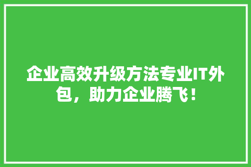 企业高效升级方法专业IT外包，助力企业腾飞！