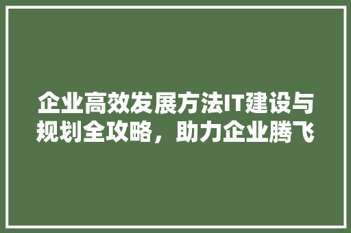 企业高效发展方法IT建设与规划全攻略，助力企业腾飞