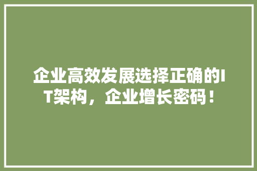 企业高效发展选择正确的IT架构，企业增长密码！