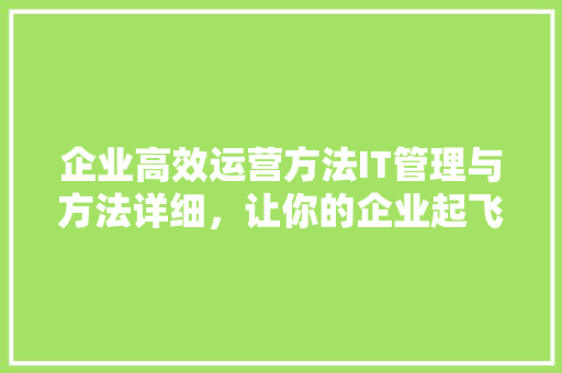 企业高效运营方法IT管理与方法详细，让你的企业起飞！