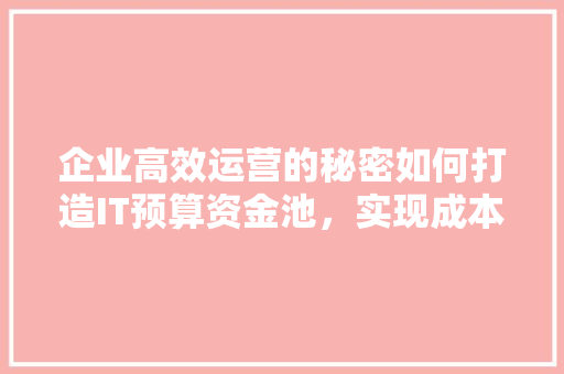 企业高效运营的秘密如何打造IT预算资金池，实现成本优化与资源最大化利用！