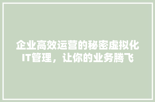 企业高效运营的秘密虚拟化IT管理，让你的业务腾飞