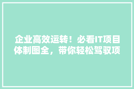 企业高效运转！必看IT项目体制图全，带你轻松驾驭项目管理！
