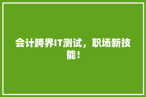 会计跨界IT测试，职场新技能！
