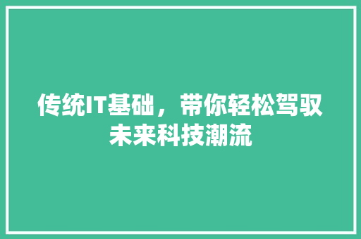 传统IT基础，带你轻松驾驭未来科技潮流 神马SEO