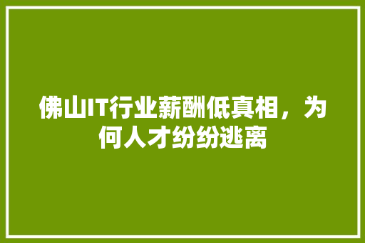 佛山IT行业薪酬低真相，为何人才纷纷逃离