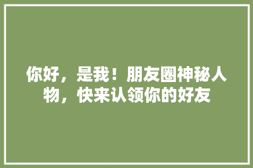 你好，是我！朋友圈神秘人物，快来认领你的好友 神马SEO