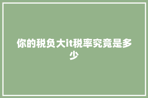 你的税负大it税率究竟是多少