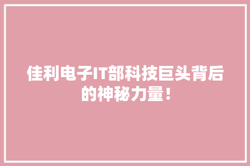 佳利电子IT部科技巨头背后的神秘力量！