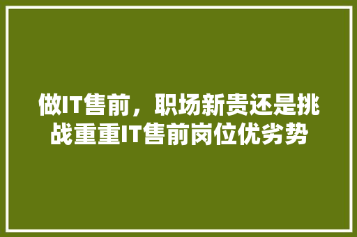 做IT售前，职场新贵还是挑战重重IT售前岗位优劣势 百度SEO