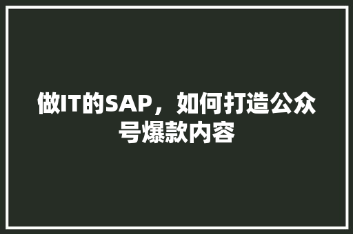 做IT的SAP，如何打造公众号爆款内容 搜狗SEO