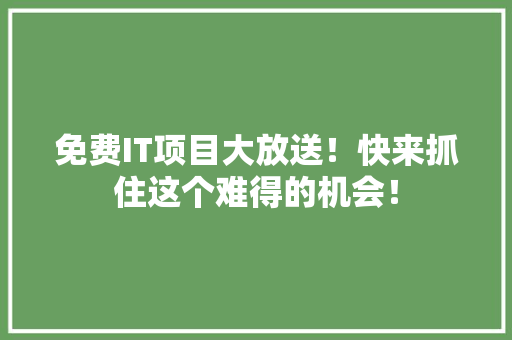 免费IT项目大放送！快来抓住这个难得的机会！ 必应SEO