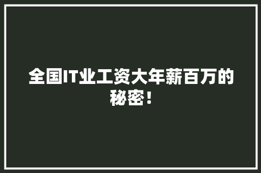全国IT业工资大年薪百万的秘密！ GoogleSEO