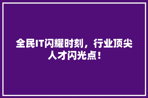 全民IT闪耀时刻，行业顶尖人才闪光点！