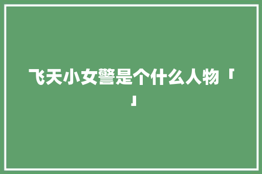 飞天小女警是个什么人物「」