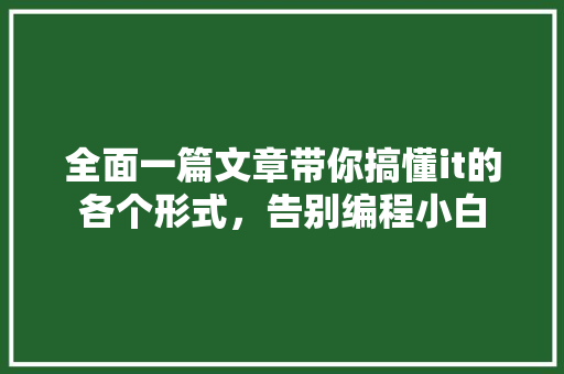 全面一篇文章带你搞懂it的各个形式，告别编程小白