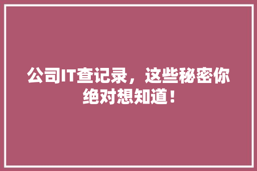 公司IT查记录，这些秘密你绝对想知道！