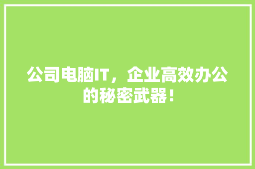 公司电脑IT，企业高效办公的秘密武器！