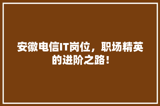 安徽电信IT岗位，职场精英的进阶之路！ GoogleSEO