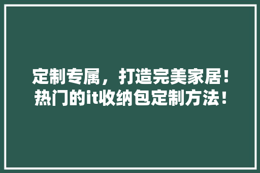 定制专属，打造完美家居！热门的it收纳包定制方法！