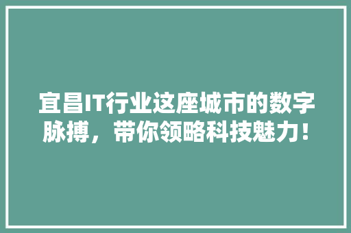 宜昌IT行业这座城市的数字脉搏，带你领略科技魅力！