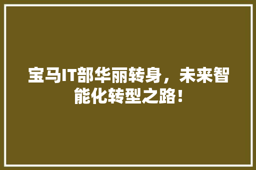 宝马IT部华丽转身，未来智能化转型之路！