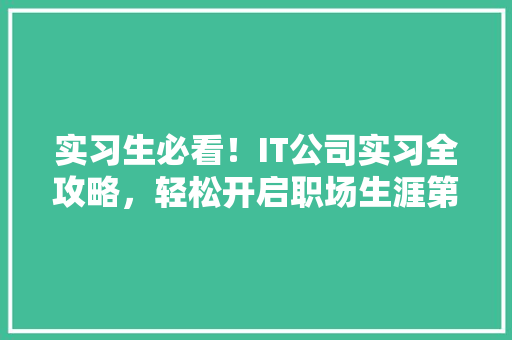 实习生必看！IT公司实习全攻略，轻松开启职场生涯第一步