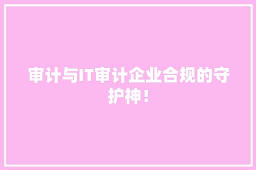 审计与IT审计企业合规的守护神！