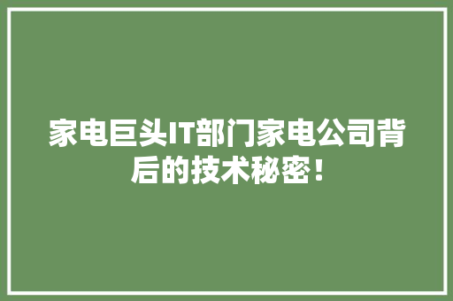 家电巨头IT部门家电公司背后的技术秘密！