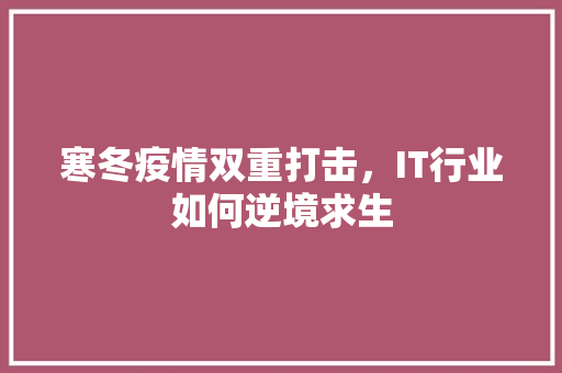 寒冬疫情双重打击，IT行业如何逆境求生