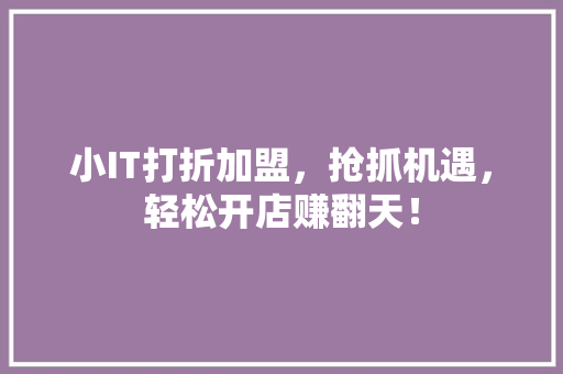 小IT打折加盟，抢抓机遇，轻松开店赚翻天！