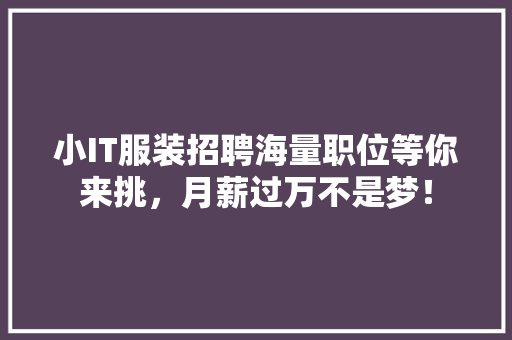 小IT服装招聘海量职位等你来挑，月薪过万不是梦！