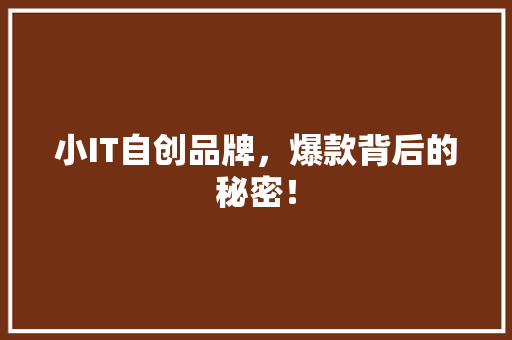 小IT自创品牌，爆款背后的秘密！